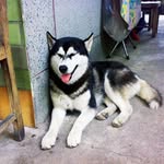 Pak Yiu Fung - @pakyiufung - Instagram