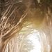 Pheng Vang Pakou - Facebook