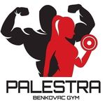 Palestra GYM - @palestrabenkovac - Instagram