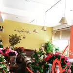 palchung address  home - @palchung_address_home - Instagram