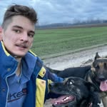 Hegedüs Pál - @hegedus_pal - Instagram
