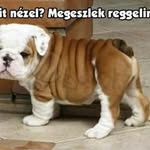 Pal Hegedus - @pal.hegedus.969 - Instagram