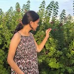 pal patel - @pal__patel__258 - Instagram