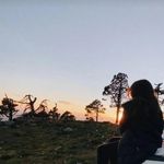 palak bhatt 💗 - @palakbhatt108 - Instagram