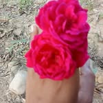 Palak Devi - @palak123devi - Instagram