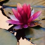 Palak Dixit - @palak.dixit - Instagram