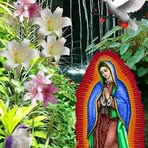 Palemon Herrera - Facebook