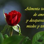 Palemon Sandoval - Facebook