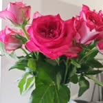 Paley Cheng - @paley.cheng.3 - Instagram