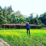 Pallab official - @pallab_ray._ - Instagram
