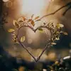 Pallab Ray Pallab - @pallab.ray.pallab - TikTok