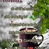 hiremathpallavi - @hiremathpallavi - TikTok