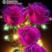 Pallavi Kamble - Facebook