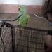 Pallavi Singhal - Facebook
