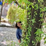 Pallavi Singhal - @pallavi_1708 - Instagram