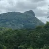 Palmacia - @palmacia.ce - TikTok