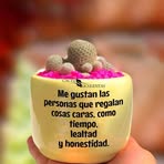 Sayda Palma - Facebook