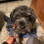 Daniel Palma-Lopez - @brownhansolo - Instagram