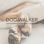 Dog Walker Palma - @dogwalkerpalma - Instagram