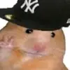 Walker Palma - @walkerpalma - TikTok