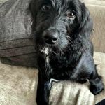 Sue Palmer Cook - @susanpalmer759 - Instagram