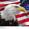 DavidsonPalmer_whatsapme - @davidsonpalmer_whatsapme - TikTok