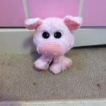 Palmer Davis - @banana__mascot - Instagram