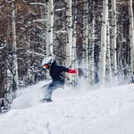 Fordham Palmer - @fordhampalmer1 - Instagram