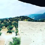 Palmer Larson - @haedychaara - Instagram