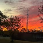 palmer larson - @palmer12597 - Instagram