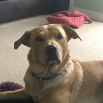 Melissa Palmer-Smith - @melissa.palmersmith123 - Instagram