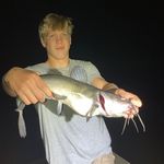Palmer Smith - @couldbepalmersmith - Instagram
