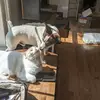 Angela - @angela_wright_palmer - TikTok