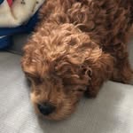 @kingston.palmer.wright - Instagram