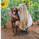 Lauren, Sutton, Banks & Rider - @palmettomoonpointers - Instagram