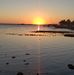 Palmetto Point - Facebook