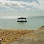 Palmetto Point Homecoming - @palmettopoint.homecoming - Instagram