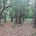 Palmetto Point Park - Facebook