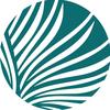 palmettopointechurch - @palmettopointechurch - TikTok