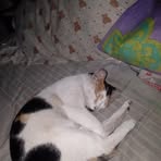 Paloma Barrera - Facebook