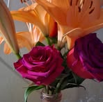 Paloma Herrera - Facebook