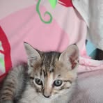 Paloma Herrera - Facebook