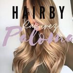 Paloma Ramirez - @hair.by.paloma - Instagram