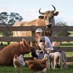 Pam Ahern - @pamaherns - Instagram