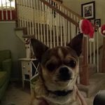 Pam Albrecht - @albrecht_pam - Instagram