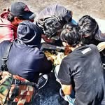 Paman Son JeeRge - @pamansonjeerge - Instagram