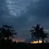 pamanson - @edikt - TikTok