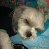 pamjae1108 - @pamantonio6 - TikTok
