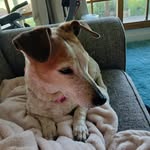 Pam Archer - @pam_archer - Instagram