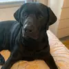 Pam Archer - @pam.archer3 - TikTok